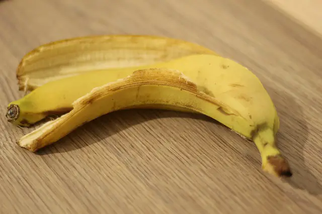 skórka z banana do storczyków